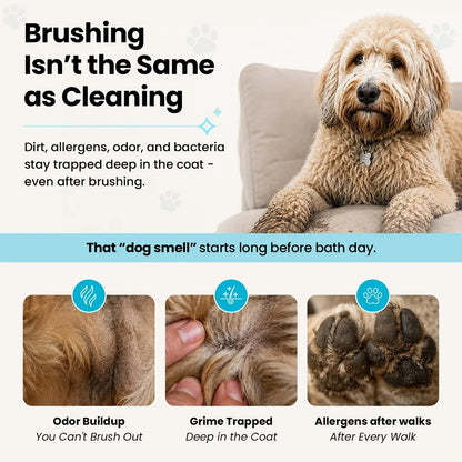Glove cleaning wipes for pets