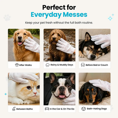 Glove cleaning wipes for pets