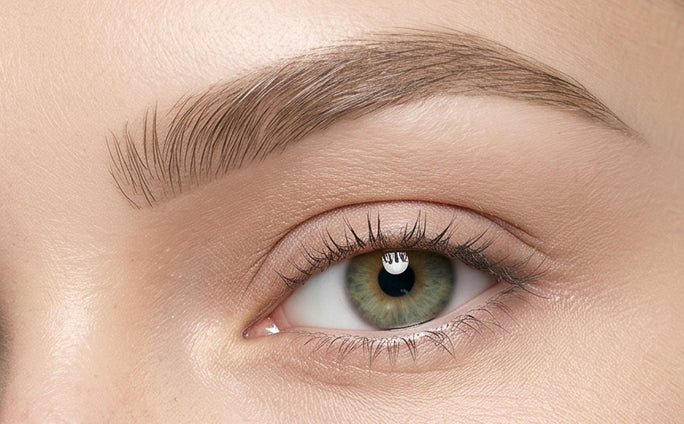 Natural Everyday Brow