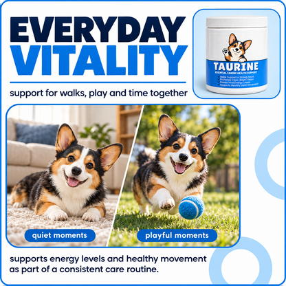Dog Taurine Nutritional Supplement for Respiratory Support