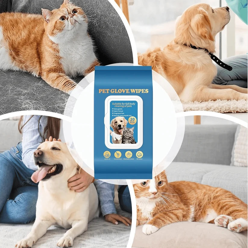 Glove cleaning wipes for pets