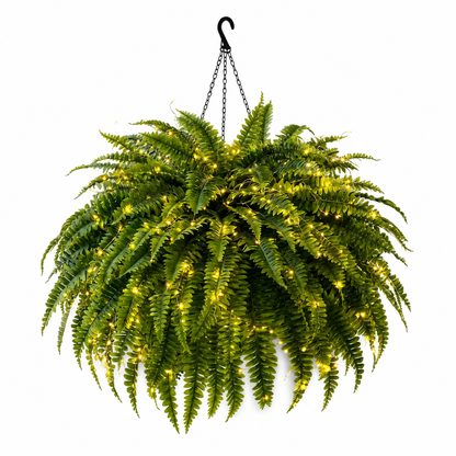 Oversized Pre-Lit Artificial Boston Ferns - No watering, No fading