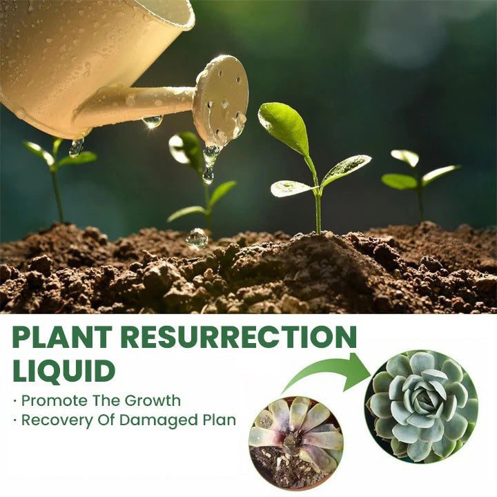 Plant Growth Nutrient Liquid