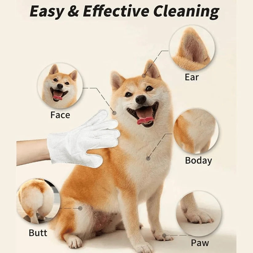 Glove cleaning wipes for pets