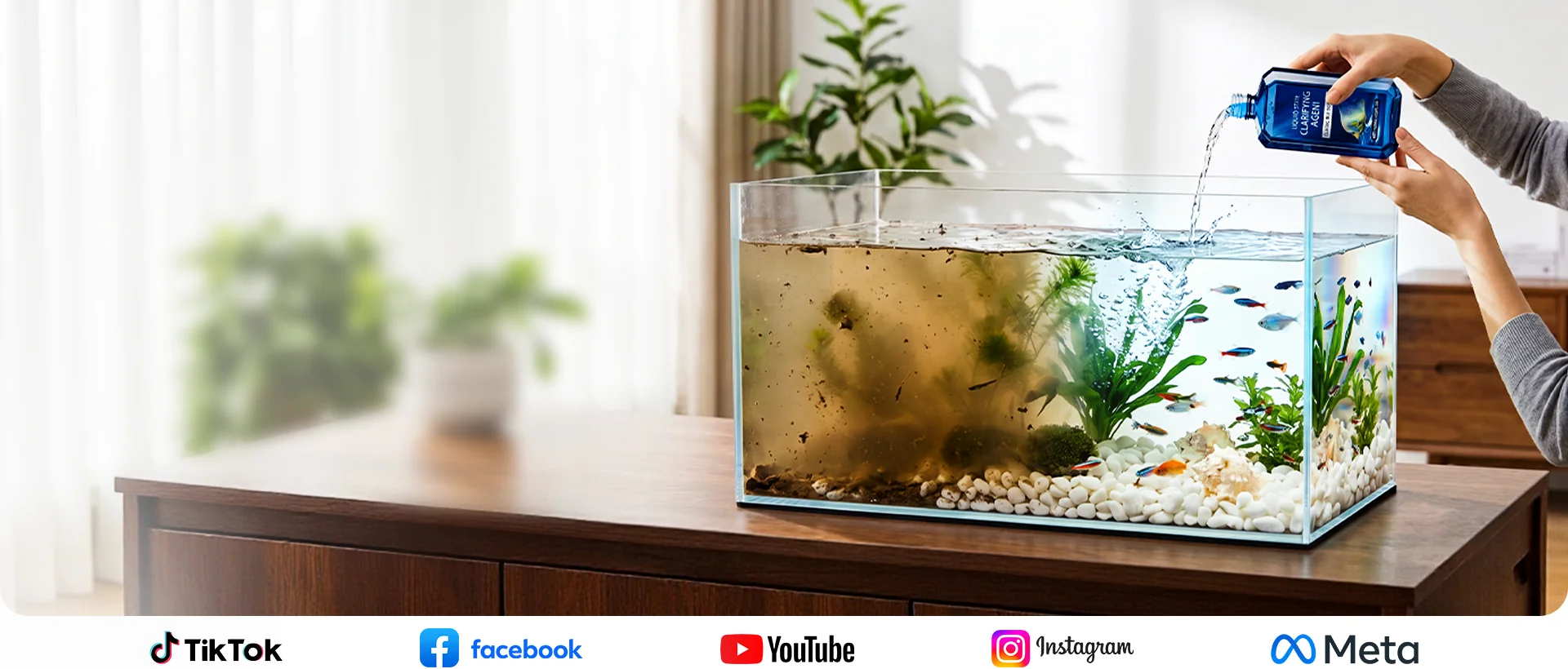 Crystal clear aquarium
