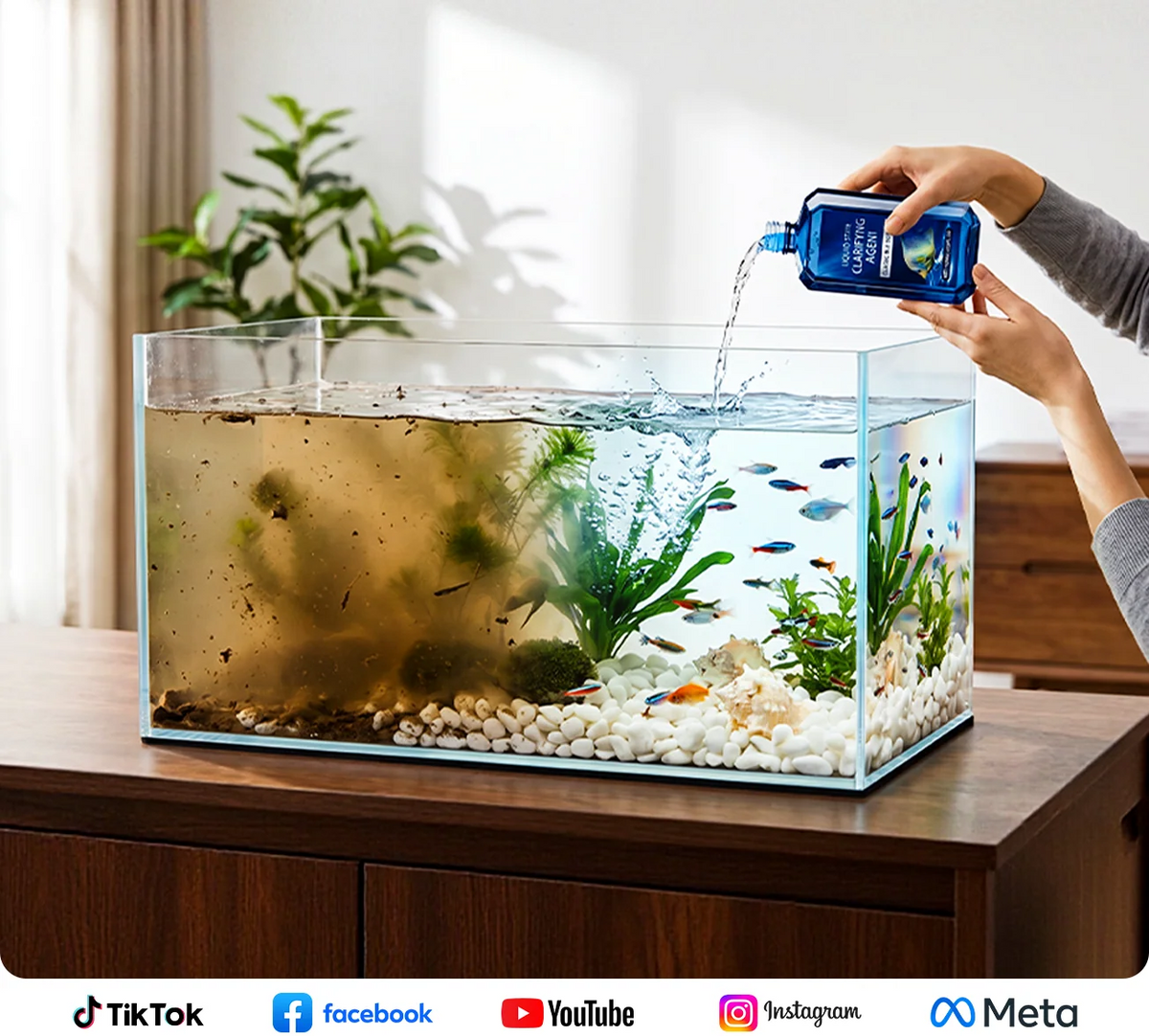 Crystal clear aquarium