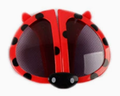 Red Seven-Spotted Ladybug